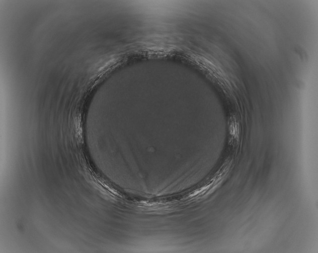 X0000110961252200907101320