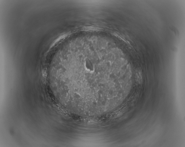 X0000110961254200907101320