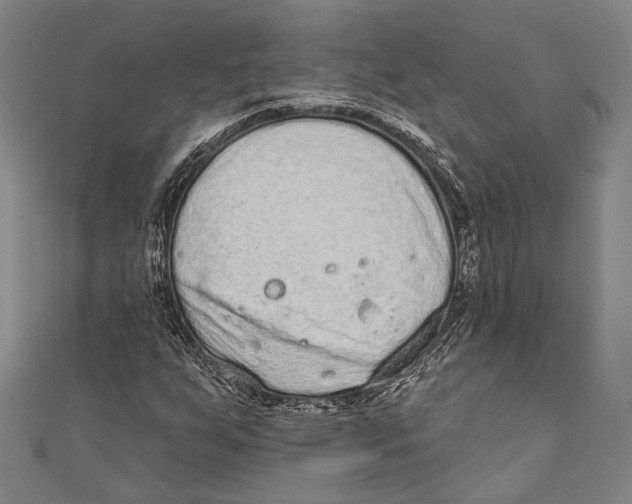 X0000110961255200907101320