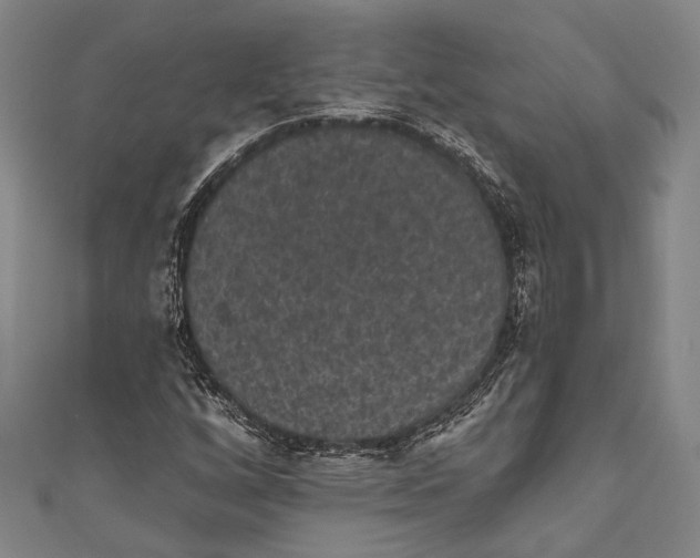 X0000110961256200907101320