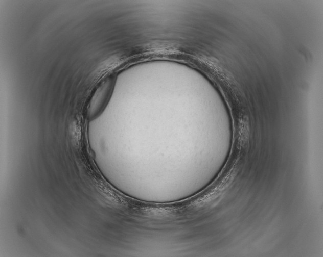 X0000110961257200907101320