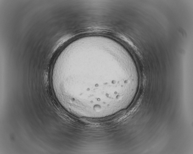 X0000110961259200907101320