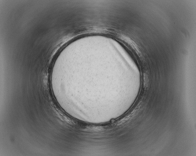 X0000110961260200907101320