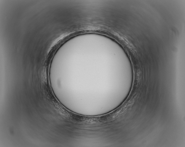 X0000110961262200907101320