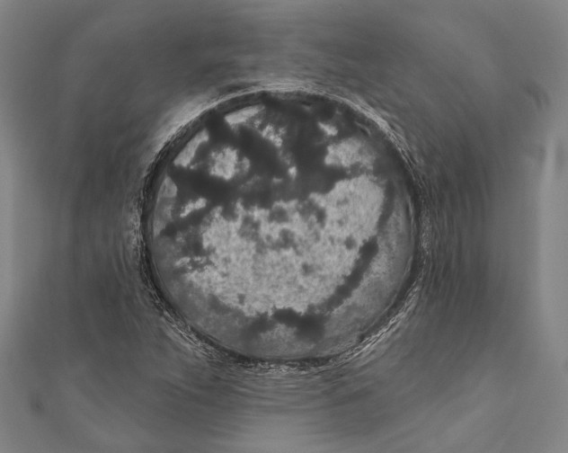 X0000110961263200907101320