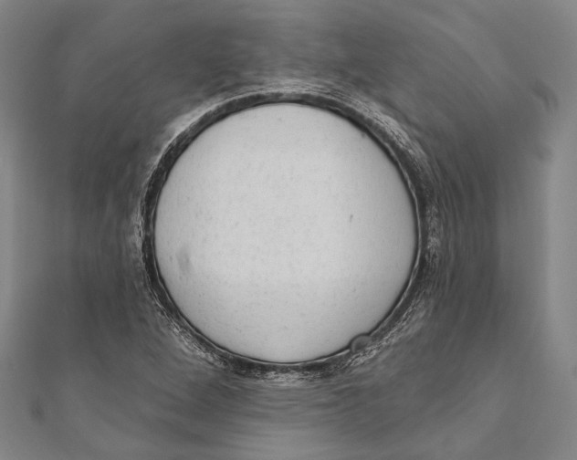 X0000110961264200907101320