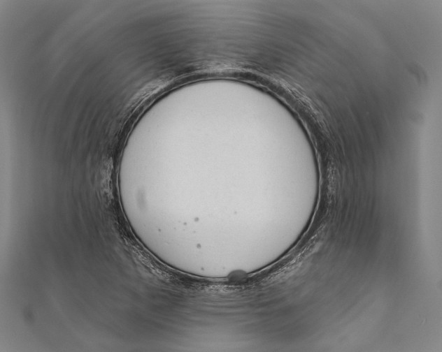 X0000110961265200907101320