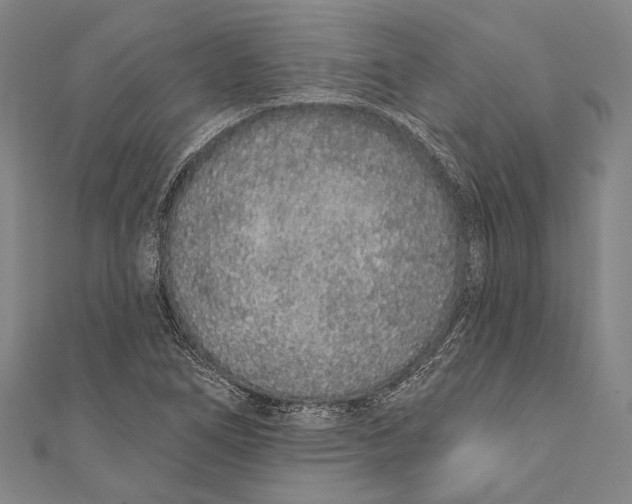 X0000110961266200907101320