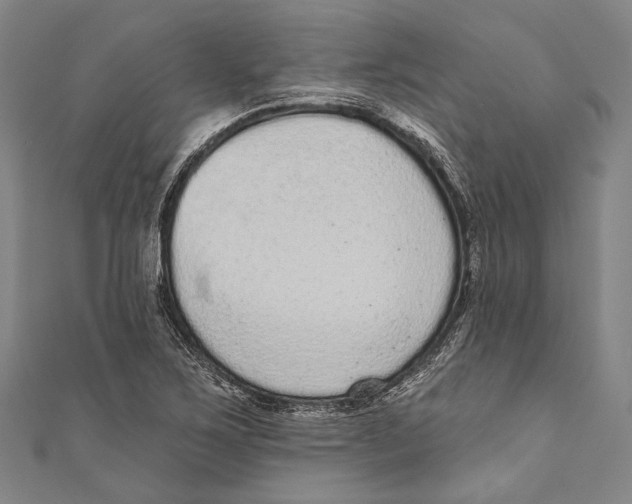 X0000110961267200907101320