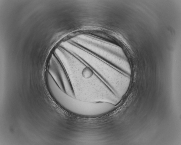 X0000110961268200907101320