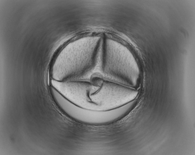 X0000110961269200907101320