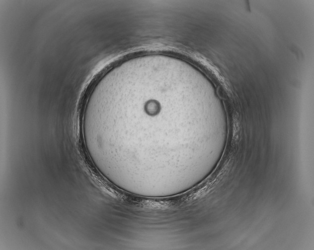 X0000110961270200907101320