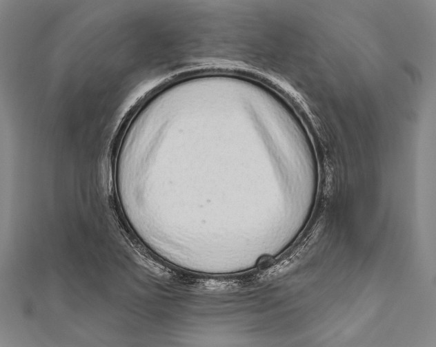 X0000110961271200907101320