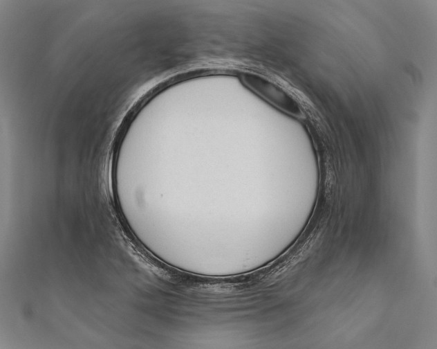 X0000110961272200907101320