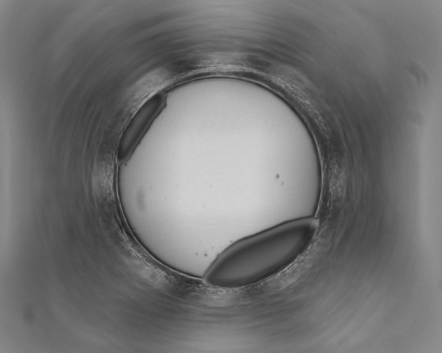 X0000110961273200907101320