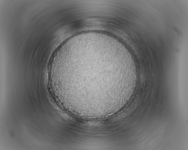 X0000110961274200907101320