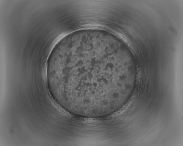 X0000110961275200907101320