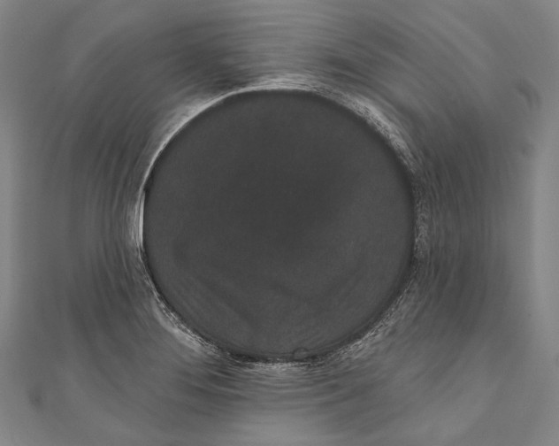 X0000110961276200907101320