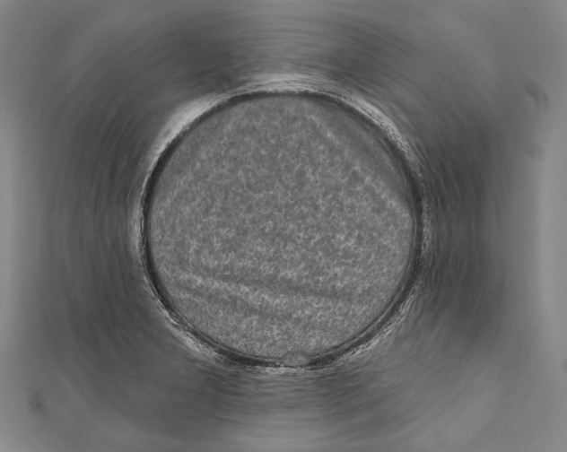 X0000110961277200907101320