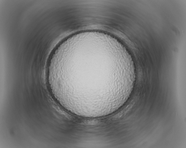 X0000110961278200907101320