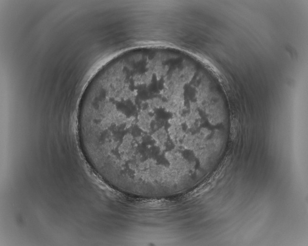 X0000110961279200907101320