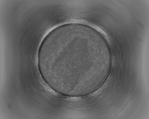 X0000110961280200907101320