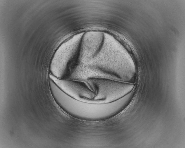 X0000110961281200907101320