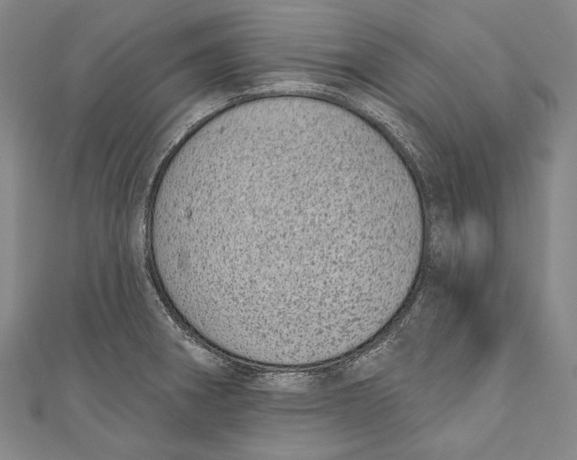 X0000110961282200907101320