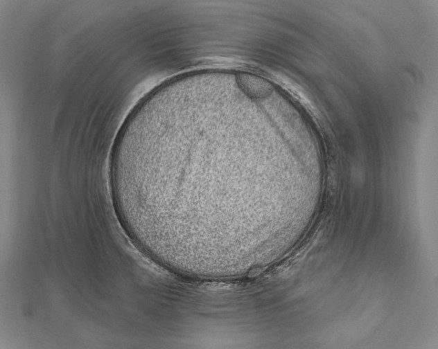 X0000110961283200907101320