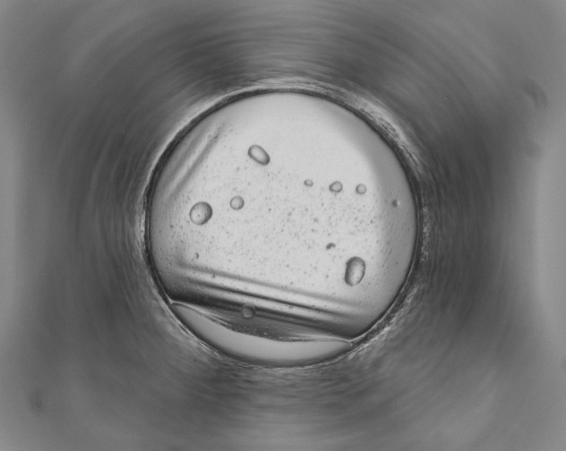 X0000110961284200907101320