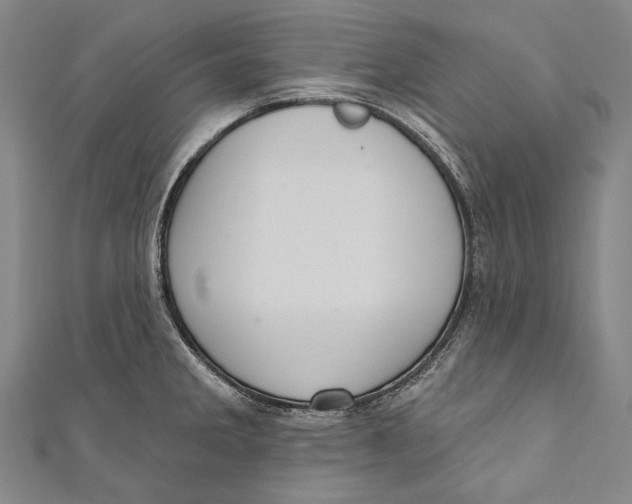 X0000110961285200907101320