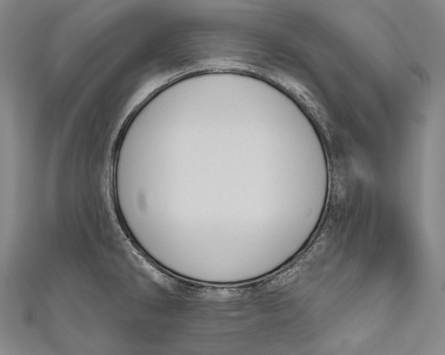 X0000110961286200907101320