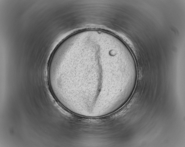 X0000110961287200907101320