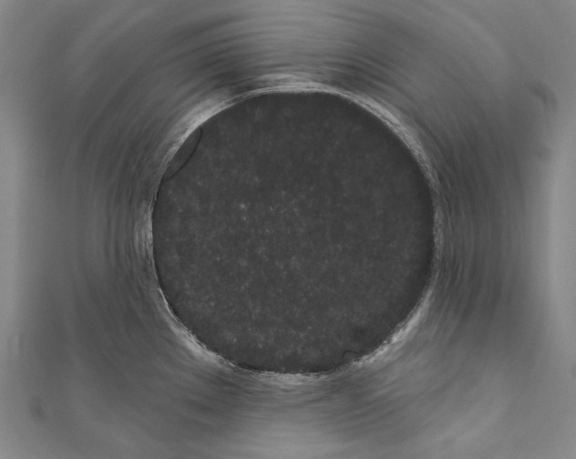 X0000110961289200907101320