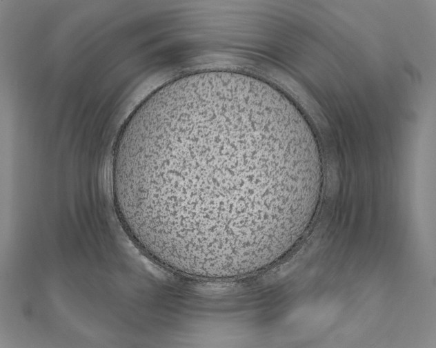 X0000110961290200907101320