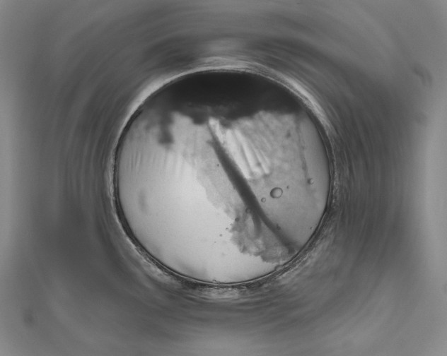 X0000110961291200907101320