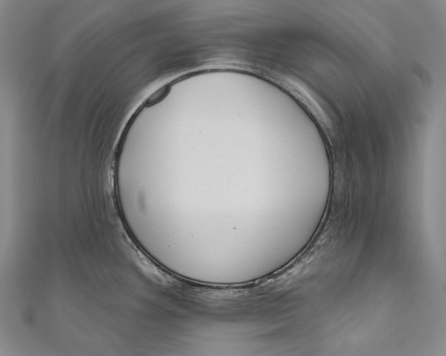 X0000110961292200907101320