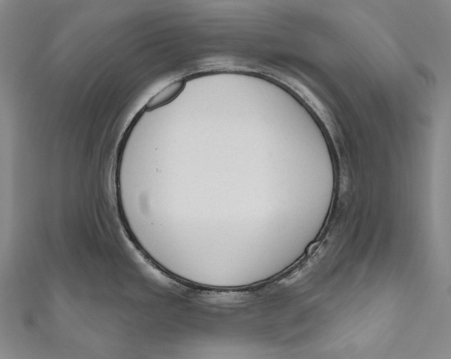 X0000110961293200907101320