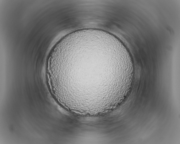 X0000110961294200907101320