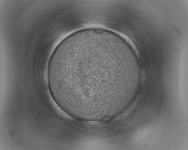 X0000110961295200907101320