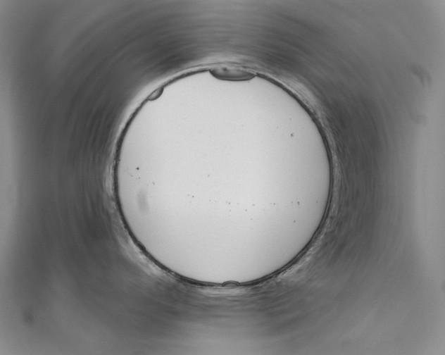 X0000110961296200907101320