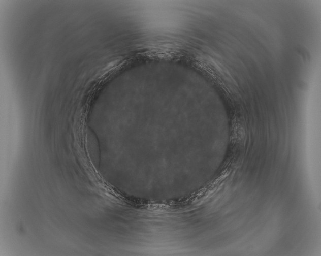 X0000110961297200907101319