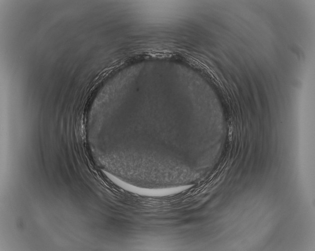 X0000110961298200907101319