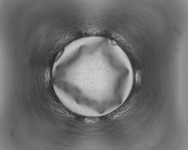 X0000110961299200907101319