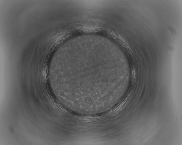 X0000110961300200907101319