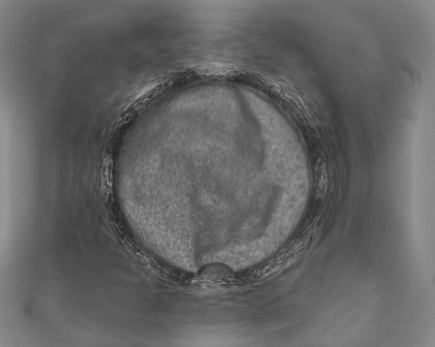 X0000110961301200907101319