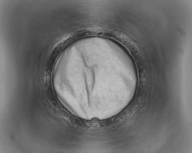 X0000110961302200907101319