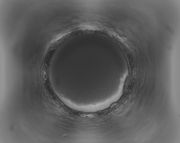 X0000110961303200907101319