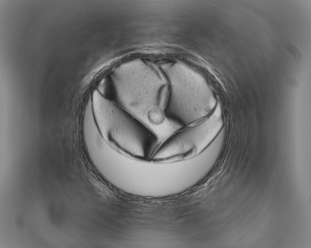 X0000110961304200907101319