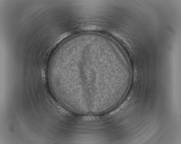 X0000110961305200907101319